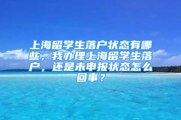 上海留學(xué)生落戶(hù)狀態(tài)有哪些，我辦理上海留學(xué)生落戶(hù)，還是未申報(bào)狀態(tài)怎么回事？