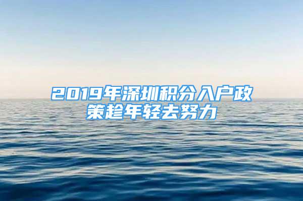 2019年深圳積分入戶政策趁年輕去努力