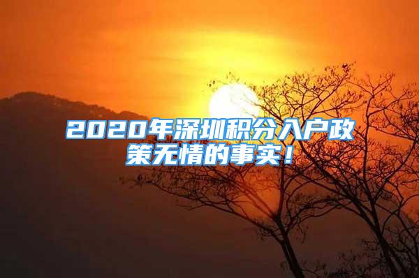 2020年深圳積分入戶政策無情的事實！