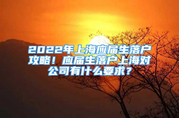 2022年上海應(yīng)屆生落戶攻略！應(yīng)屆生落戶上海對(duì)公司有什么要求？