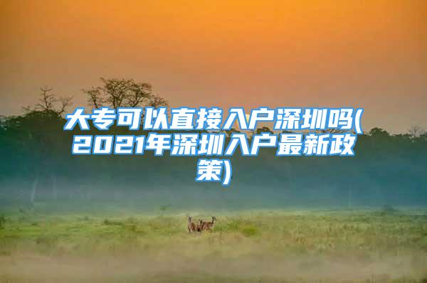 大?？梢灾苯尤霊羯钲趩?2021年深圳入戶最新政策)