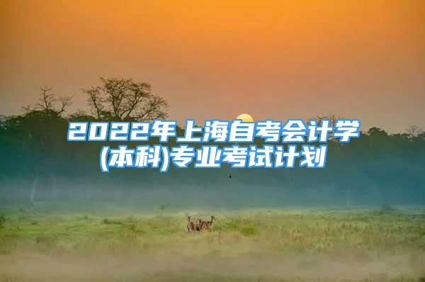 2022年上海自考會(huì)計(jì)學(xué)(本科)專業(yè)考試計(jì)劃