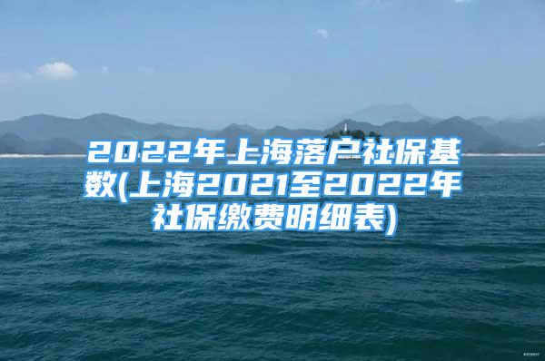 2022年上海落戶社保基數(上海2021至2022年社保繳費明細表)