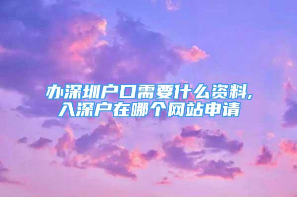 辦深圳戶口需要什么資料,入深戶在哪個網(wǎng)站申請