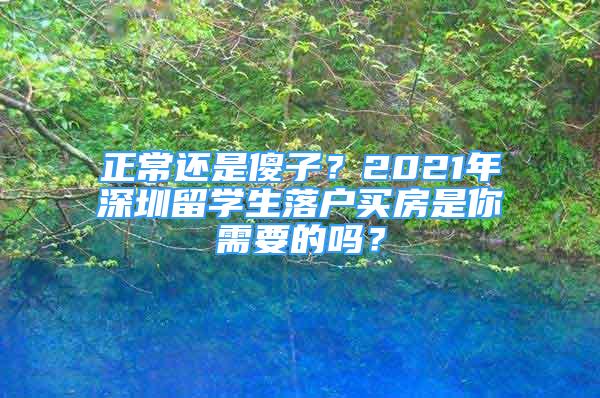 正常還是傻子？2021年深圳留學(xué)生落戶買房是你需要的嗎？