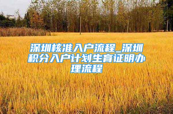 深圳核準(zhǔn)入戶流程_深圳積分入戶計劃生育證明辦理流程