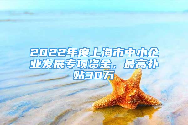 2022年度上海市中小企業(yè)發(fā)展專(zhuān)項(xiàng)資金，最高補(bǔ)貼30萬(wàn)