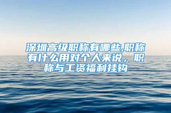 深圳高級職稱有哪些,職稱有什么用對個人來說，職稱與工資福利掛鉤