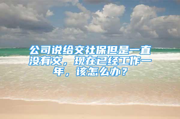 公司說給交社保但是一直沒有交，現(xiàn)在已經(jīng)工作一年，該怎么辦？