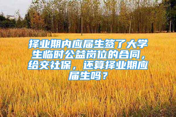 擇業(yè)期內應屆生簽了大學生臨時公益崗位的合同，給交社保，還算擇業(yè)期應屆生嗎？