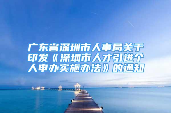 廣東省深圳市人事局關(guān)于印發(fā)《深圳市人才引進(jìn)個(gè)人申辦實(shí)施辦法》的通知