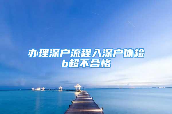 辦理深戶流程入深戶體檢b超不合格