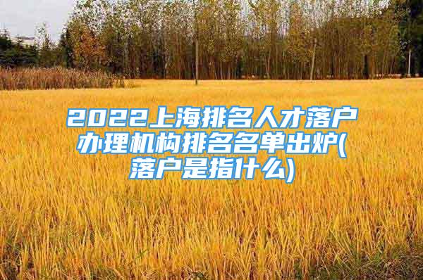 2022上海排名人才落戶(hù)辦理機(jī)構(gòu)排名名單出爐(落戶(hù)是指什么)