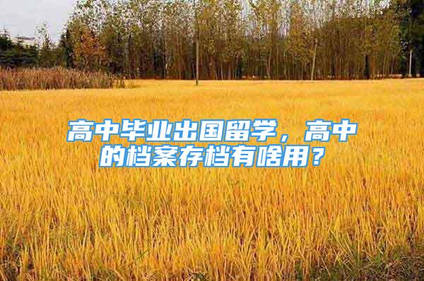 高中畢業(yè)出國留學(xué)，高中的檔案存檔有啥用？