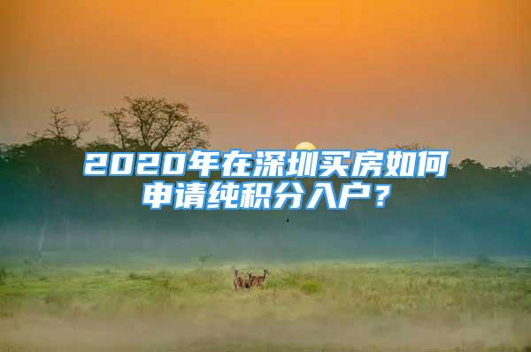 2020年在深圳買(mǎi)房如何申請(qǐng)純積分入戶(hù)？