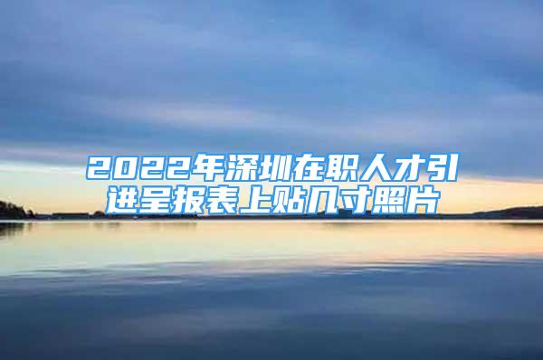 2022年深圳在職人才引進(jìn)呈報(bào)表上貼幾寸照片