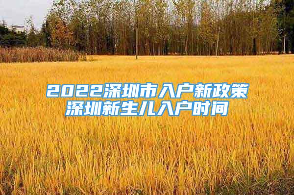 2022深圳市入戶新政策深圳新生兒入戶時(shí)間