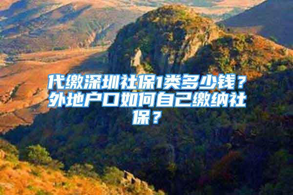 代繳深圳社保1類多少錢？外地戶口如何自己繳納社保？