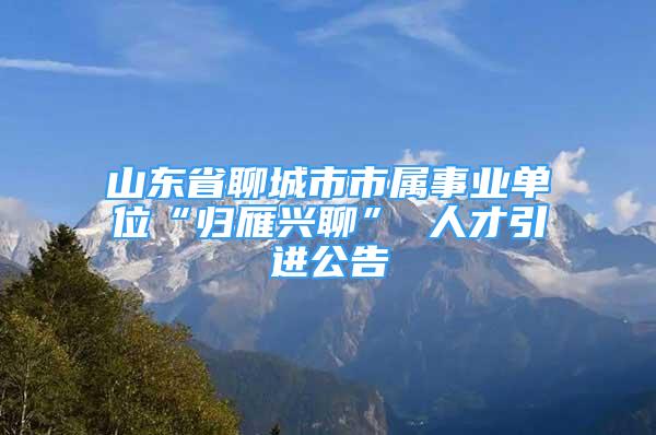 山東省聊城市市屬事業(yè)單位“歸雁興聊” 人才引進公告