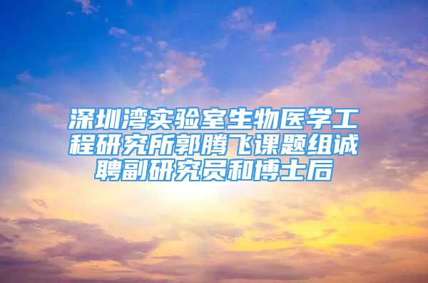 深圳灣實驗室生物醫(yī)學工程研究所郭騰飛課題組誠聘副研究員和博士后