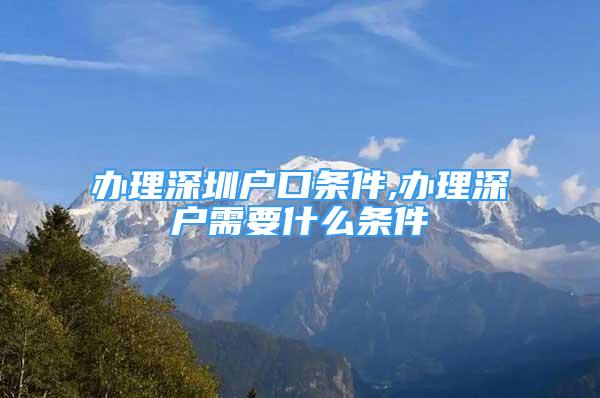 辦理深圳戶口條件,辦理深戶需要什么條件