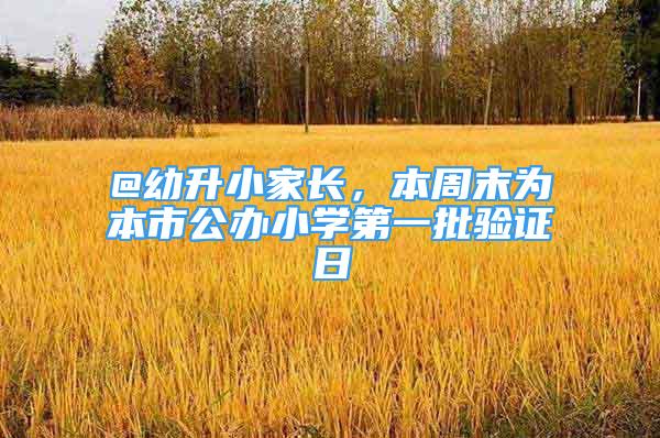 @幼升小家長(zhǎng)，本周末為本市公辦小學(xué)第一批驗(yàn)證日