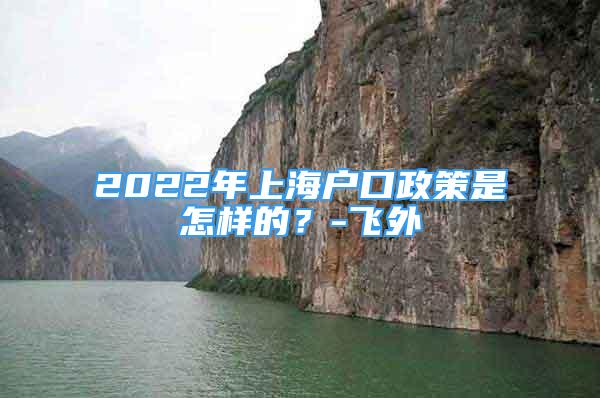 2022年上海戶口政策是怎樣的？-飛外