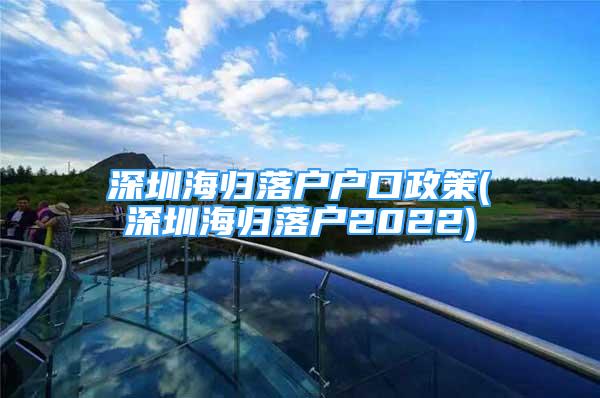 深圳海歸落戶戶口政策(深圳海歸落戶2022)