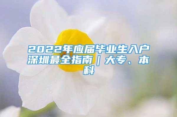 2022年應屆畢業(yè)生入戶深圳最全指南｜大專、本科