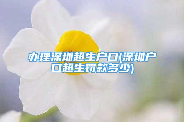 辦理深圳超生戶口(深圳戶口超生罰款多少)