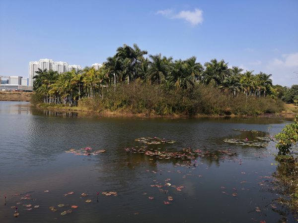 深圳戶口遷移流程