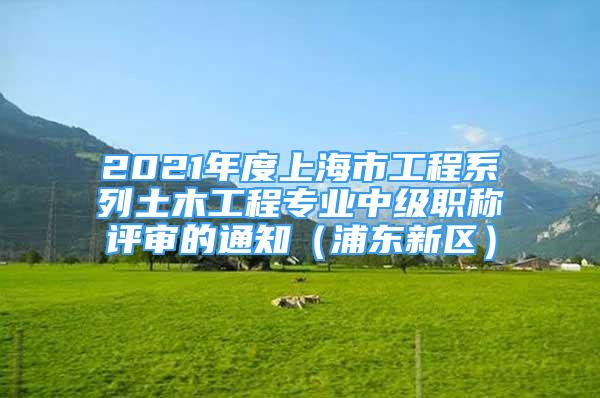 2021年度上海市工程系列土木工程專業(yè)中級職稱評審的通知（浦東新區(qū)）