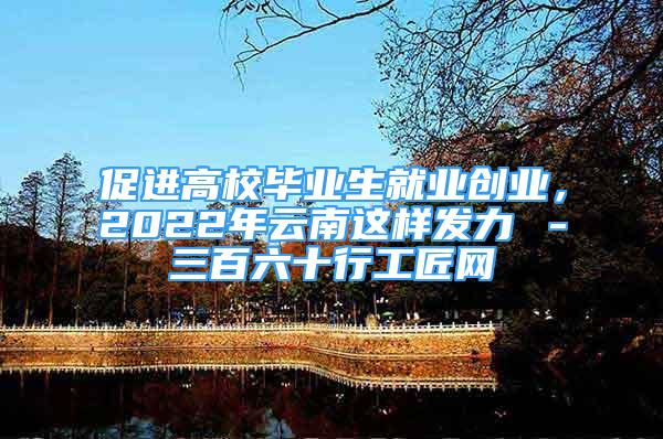 促進(jìn)高校畢業(yè)生就業(yè)創(chuàng)業(yè)，2022年云南這樣發(fā)力→－三百六十行工匠網(wǎng)