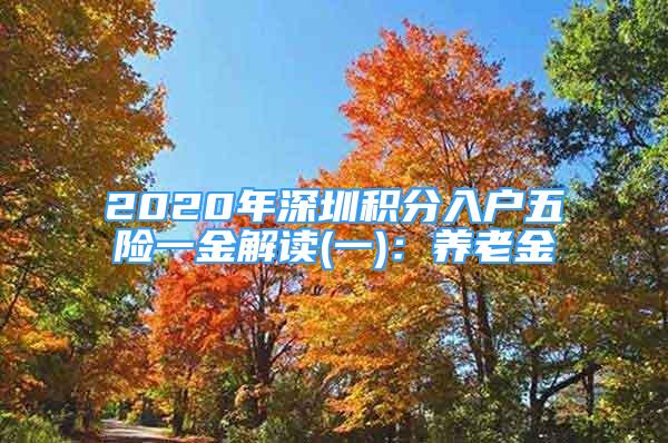 2020年深圳積分入戶五險一金解讀(一)：養(yǎng)老金