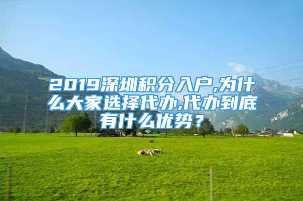 2019深圳積分入戶,為什么大家選擇代辦,代辦到底有什么優(yōu)勢(shì)？