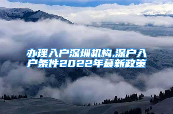 辦理入戶深圳機構(gòu),深戶入戶條件2022年蕞新政策