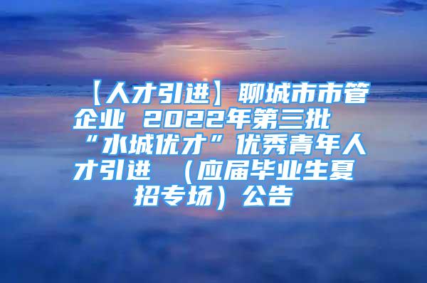 【人才引進(jìn)】聊城市市管企業(yè) 2022年第三批“水城優(yōu)才”優(yōu)秀青年人才引進(jìn) （應(yīng)屆畢業(yè)生夏招專場(chǎng)）公告