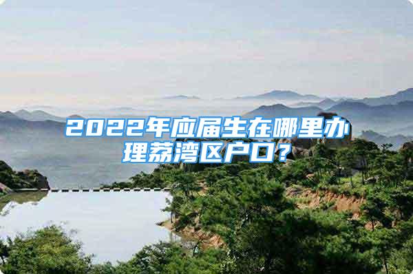 2022年應(yīng)屆生在哪里辦理荔灣區(qū)戶口？