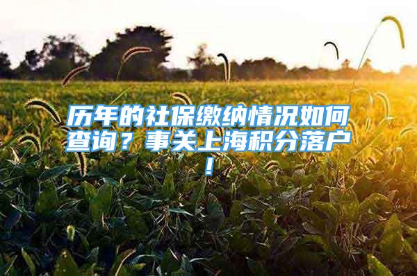 歷年的社保繳納情況如何查詢(xún)？事關(guān)上海積分落戶(hù)!