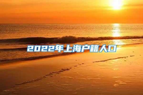 2022年上海戶籍人口