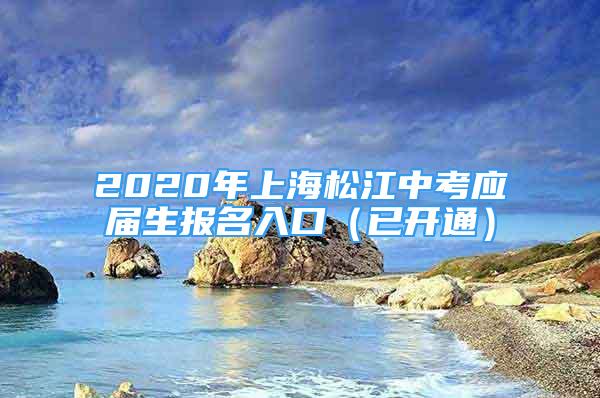 2020年上海松江中考應(yīng)屆生報(bào)名入口（已開通）