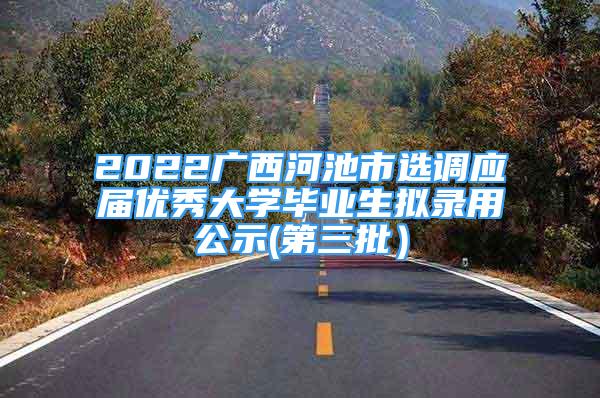 2022廣西河池市選調(diào)應屆優(yōu)秀大學畢業(yè)生擬錄用公示(第三批）