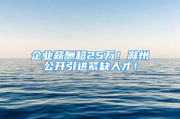 企業(yè)薪酬超25萬！滁州公開引進(jìn)緊缺人才！