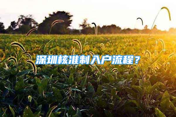 深圳核準制入戶流程？