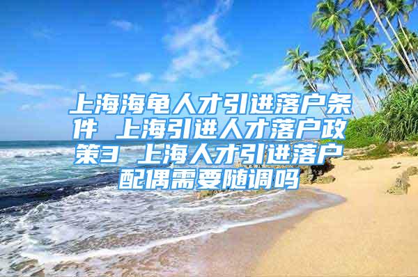 上海海龜人才引進(jìn)落戶條件 上海引進(jìn)人才落戶政策3 上海人才引進(jìn)落戶配偶需要隨調(diào)嗎