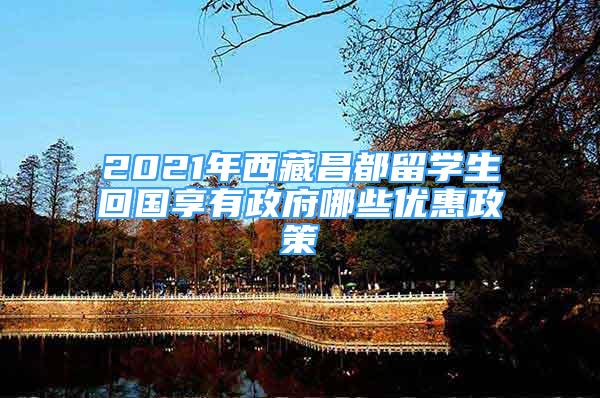 2021年西藏昌都留學生回國享有政府哪些優(yōu)惠政策