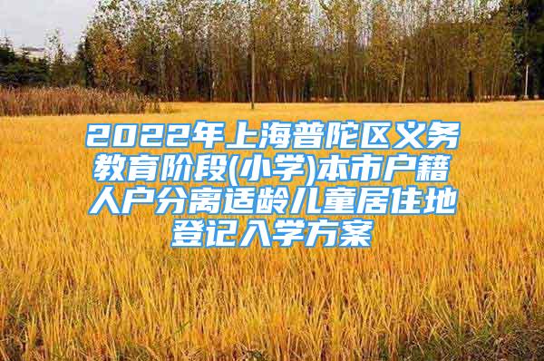 2022年上海普陀區(qū)義務(wù)教育階段(小學(xué))本市戶(hù)籍人戶(hù)分離適齡兒童居住地登記入學(xué)方案