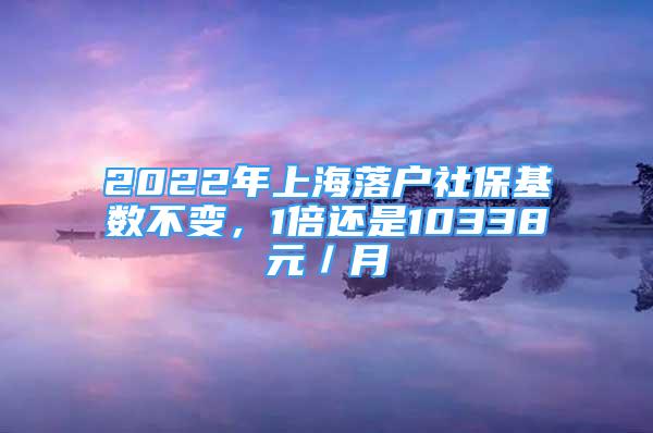 2022年上海落戶社保基數(shù)不變，1倍還是10338元／月