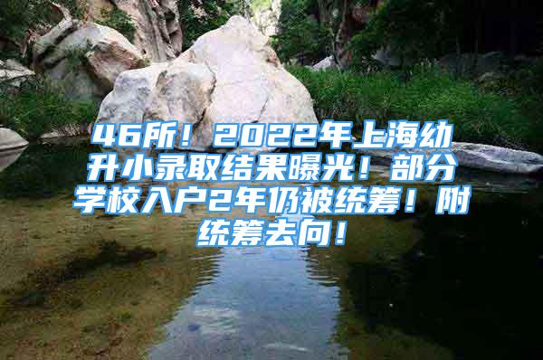 46所！2022年上海幼升小錄取結(jié)果曝光！部分學(xué)校入戶2年仍被統(tǒng)籌！附統(tǒng)籌去向！