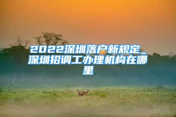 2022深圳落戶新規(guī)定_深圳招調(diào)工辦理機(jī)構(gòu)在哪里